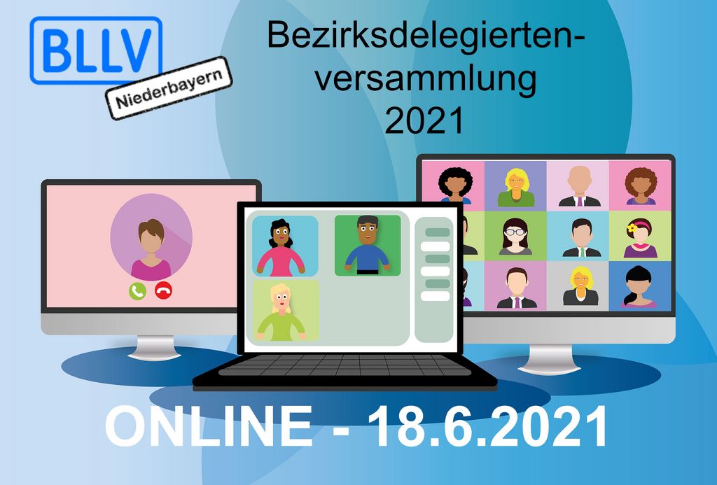 video-conference-5587603_1920
